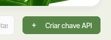 imagem do botão de criar chave de api